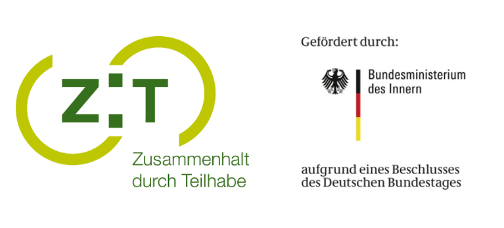 ZDT BMI Logo pur